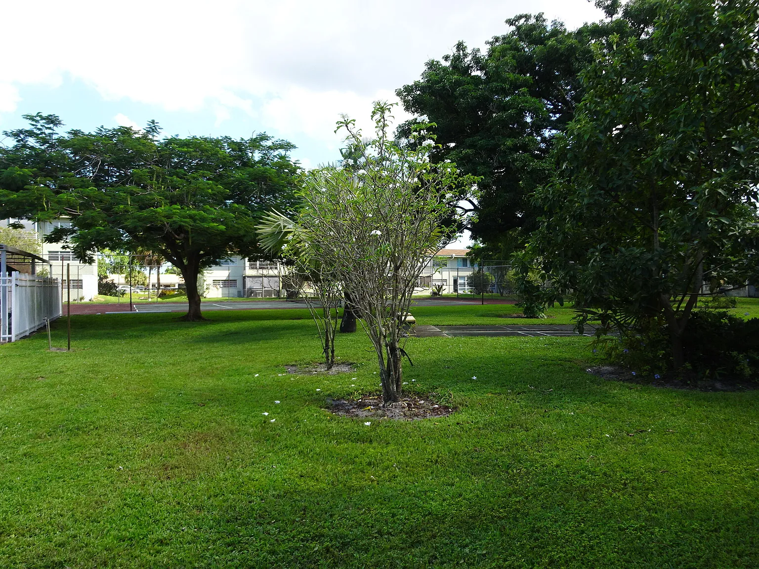2 bed, 2.0 bath, 960 sqft, $1,900 — Photo 1