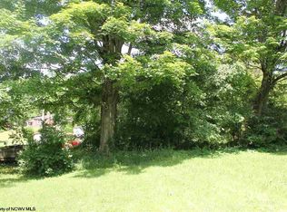 108 Knapp St, Elkins, WV 26241