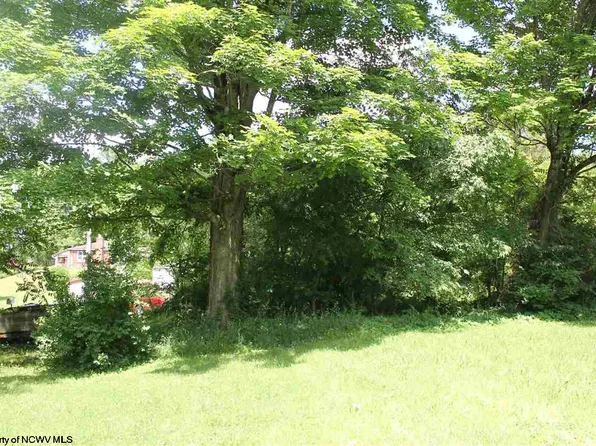 108 Knapp St, Elkins, WV 26241