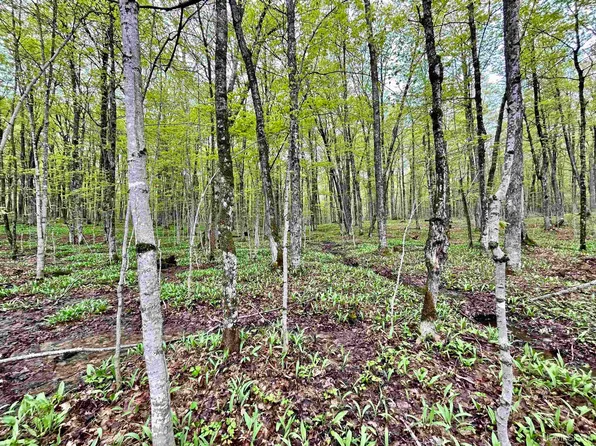 W Cisco Lake Rd, Watersmeet, MI 49969