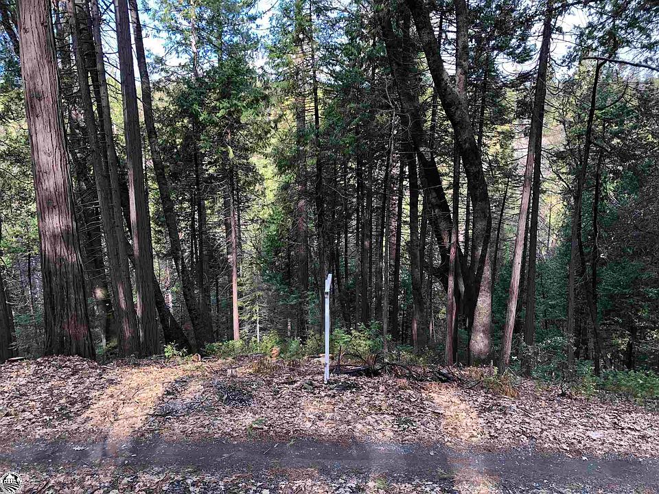 17620 Winterhaven, Twain Harte, CA 95383 MLS 20230153 Zillow