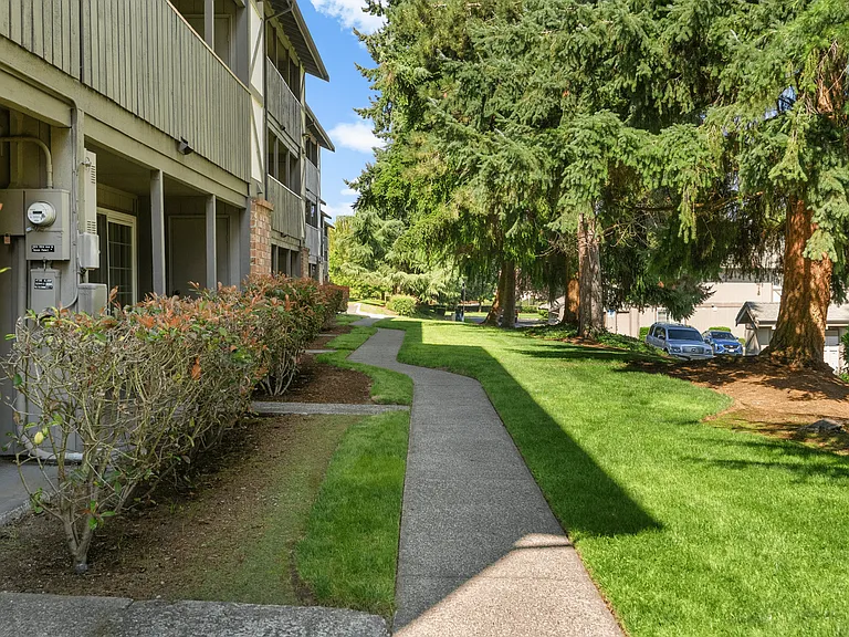 Shaded community walking paths.
