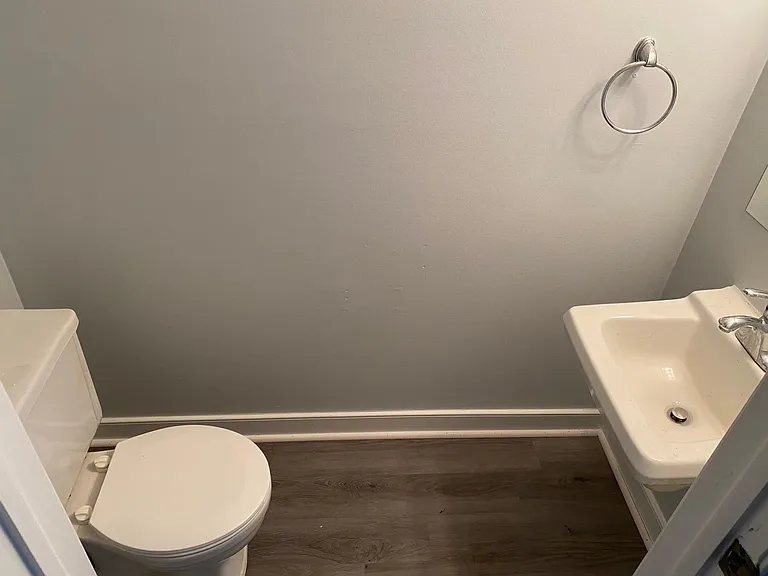 9732 Springfield Woods Cir — Photo 15