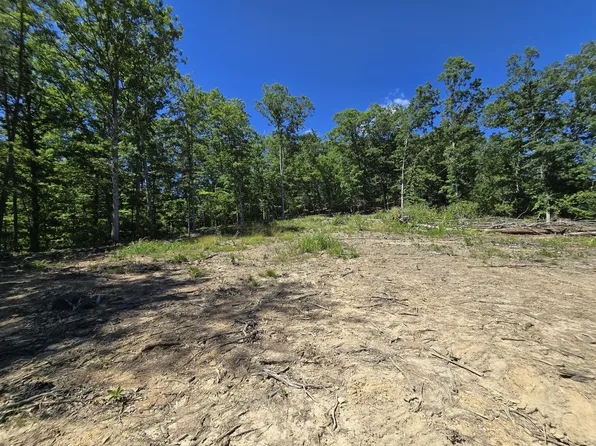 Dolly Ann Dr, Covington, VA 24426