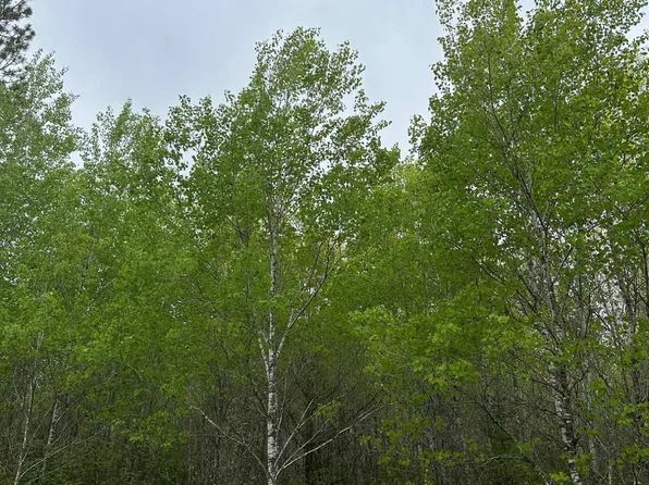 Burrows Lake Rd Lot 6, Tomahawk, WI 54487