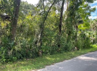 Deleon Spgs LOT 55, De Leon Springs, FL 32130