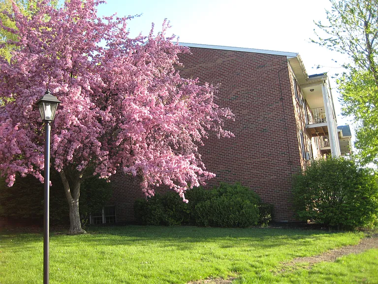 Park Hill Lane Apartments — Photo 19