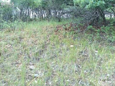 Showalter Dr, Colorado City, CO, 81019