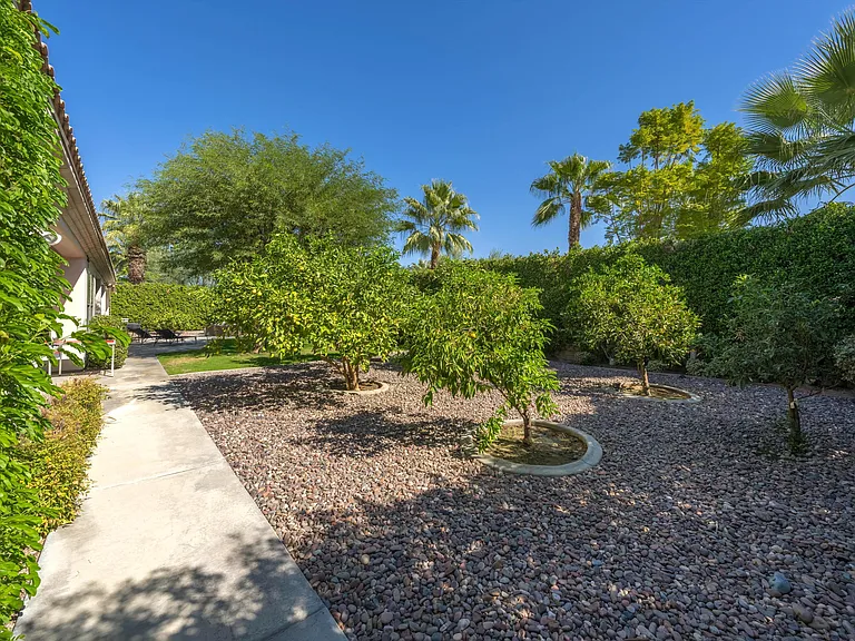 Enjoy fresh lemons, limes, grapefruit and more in the citrus garden