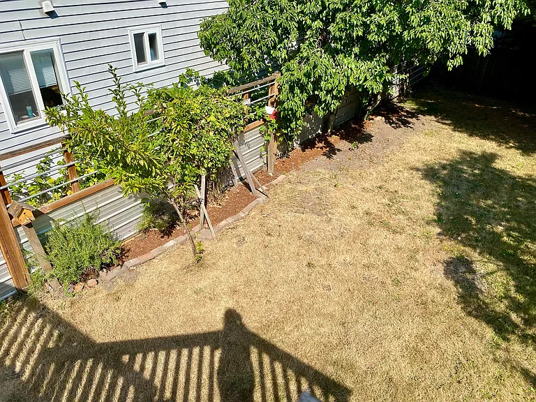 504 25th Ave S #1 — Photo 4