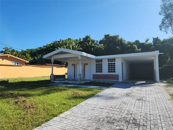 Abeja Street Llano 162 Sr Lot E #Bo-2, Aibonito, PR 00705