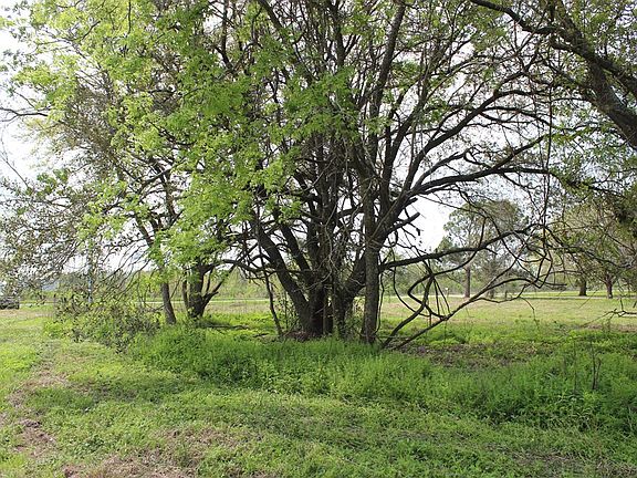 3rd image of 852 County Road 303
