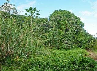 20th Ave LOT 35, Keaau, HI 96749