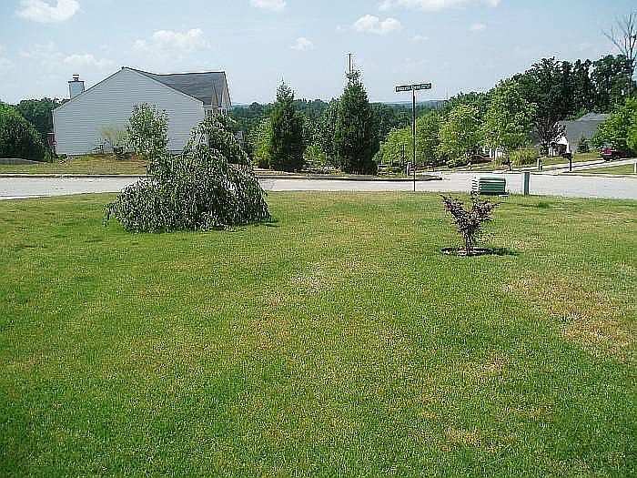 2nd image of 1305 Hillcrest Glenn Cir