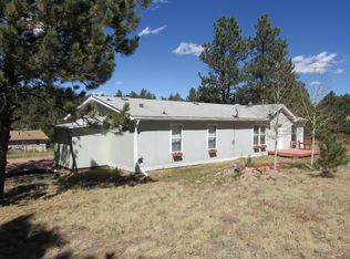 30 Rhyolite Ln, Florissant, CO 80816