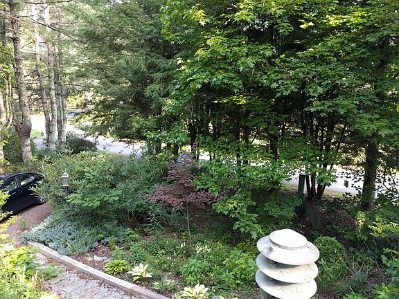 Front yard