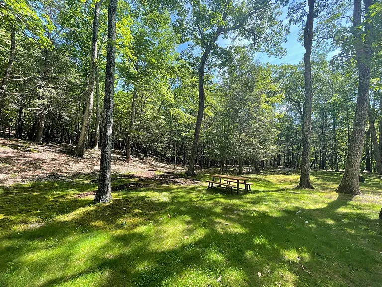 102 Boggs Hill Rd — Photo 39