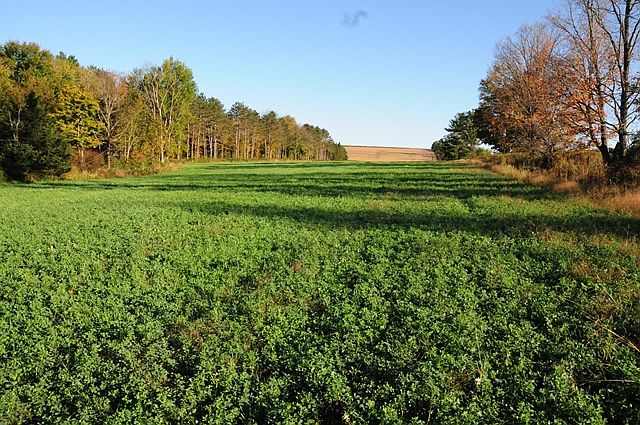 1st image of N Lane Dr