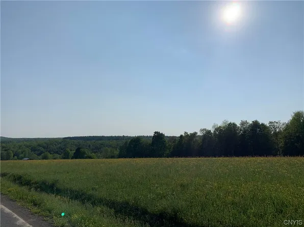 0 Balsam Tyler Rd #4, Mc Donough, NY 13801
