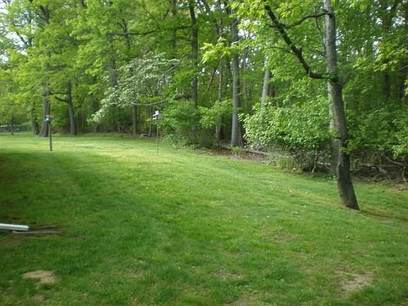 Large beautiful yard