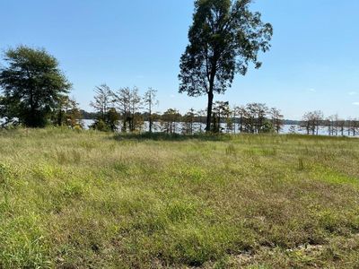 0 Highway 565 Lot 10 & 11, Jonesville, LA, 71343