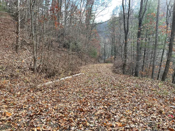 0 Roan Creek Rd, Mountain City, TN 37683