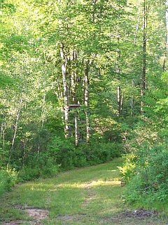 3rd image of 8385 W Koeppler Road