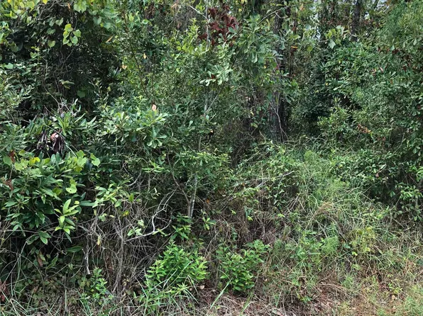 805 Bienville Blvd, Dauphin Island, AL 36528