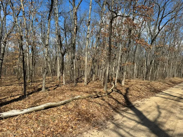 N Centerline Rd, Bitely, MI 49309