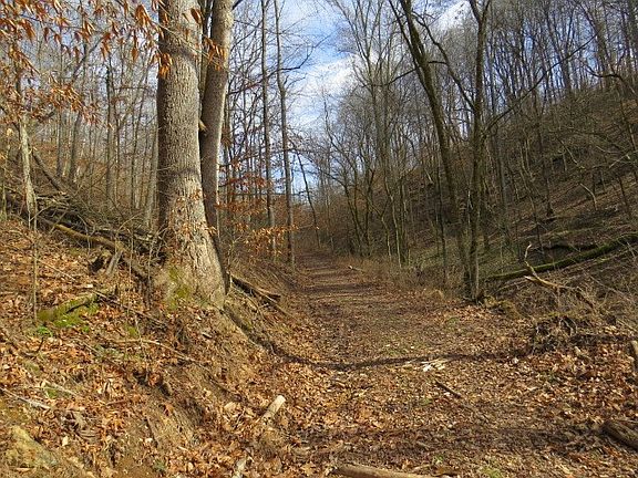 4th image of 1074B Kersey Hollow Rd