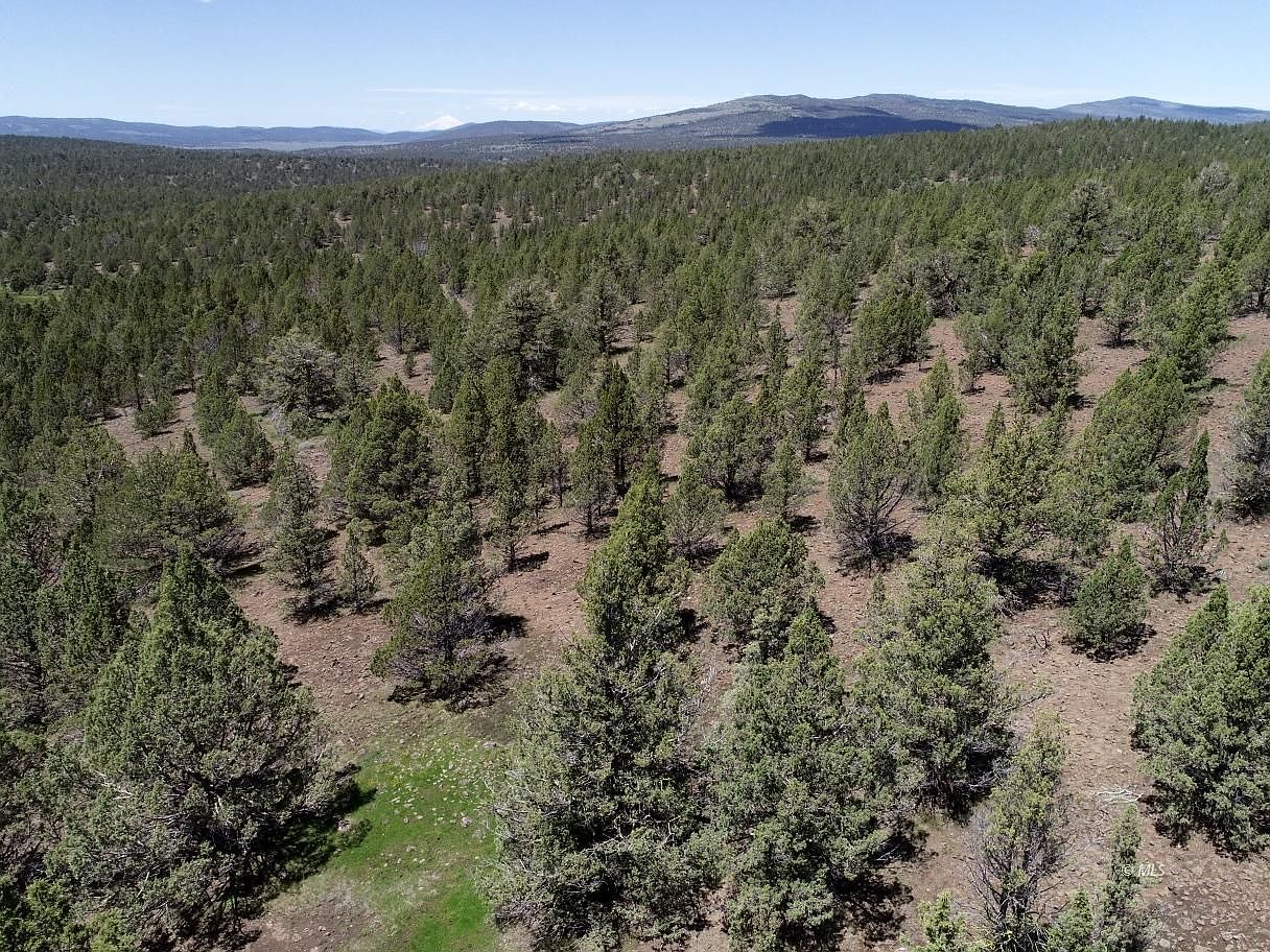 20/ACRE Ash Valley Rd, Madeline, CA 96119 Zillow