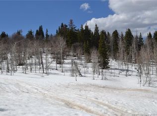 858 W Deep Forest Rd, Coalville, UT 84017