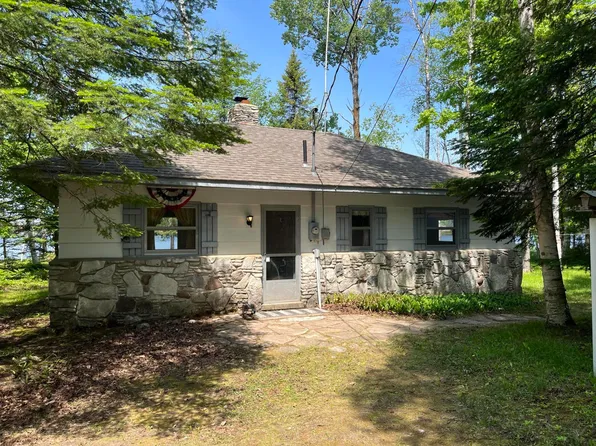 22804 S Chrisdale Dr, Trout Lake, MI 49793