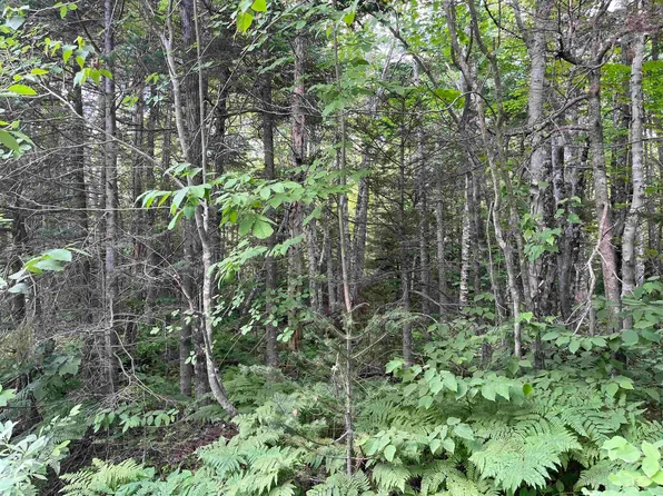 LOT 5 Butler Rd #5, Kings, NS B4N 3V8