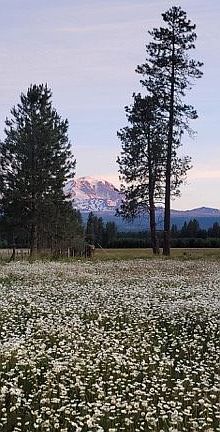 4th image of 106 Lakeside Rd