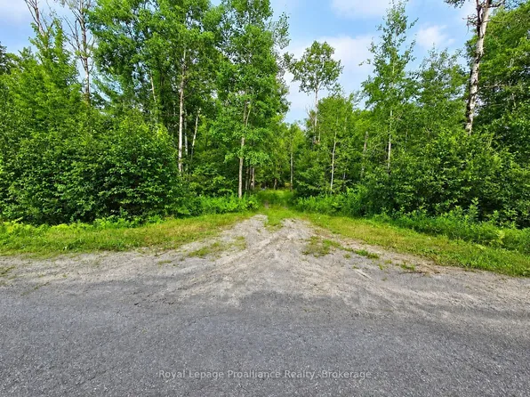 1446 Flinton Rd, Tweed, ON K0H 1P0