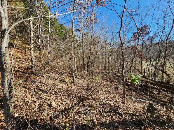 000 Mclean Road, Ozark, MO 65721