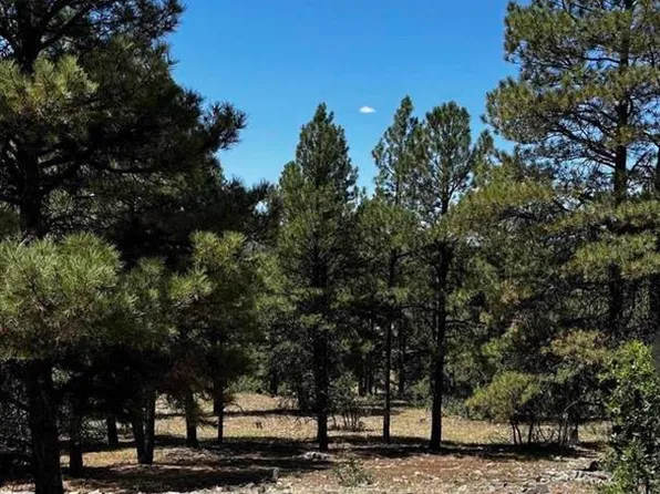 144 Woodridge Circle, Pagosa Springs, CO 81147