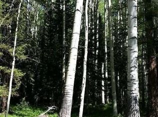 450 Ponderosa Way, Cimarron, CO 81220