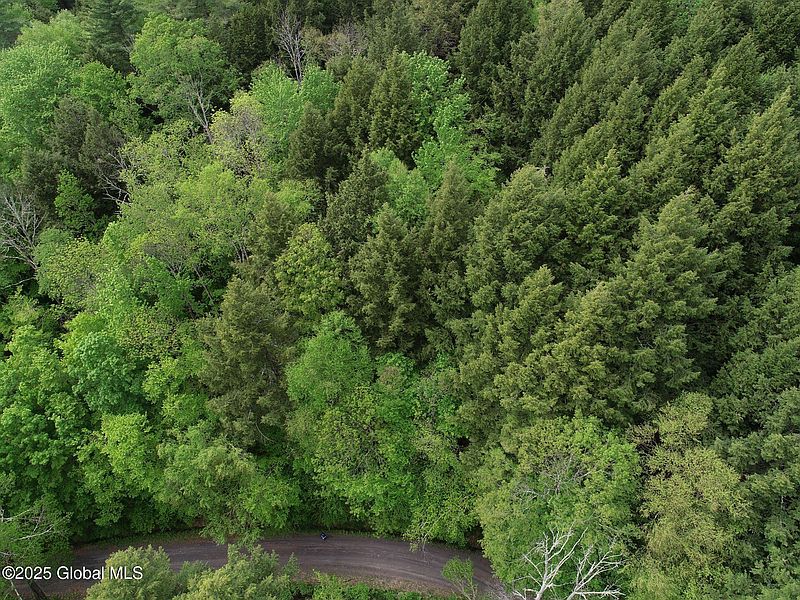 2nd image of 124 Deer Valley Road