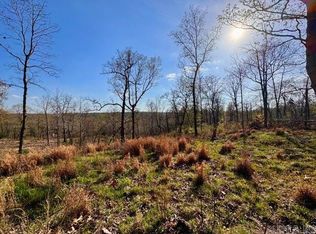 (Undisclosed Address), Cave City, AR 72521