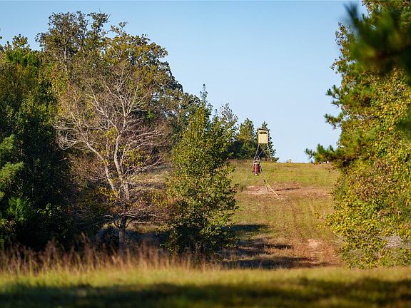 2nd image of 15383 County Road 236