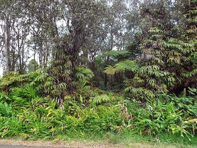 2nd image of Liona St Lot 53-B