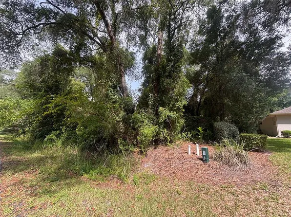 SW 98TH LOOP LOT 2, DUNNELLON, FL 34432