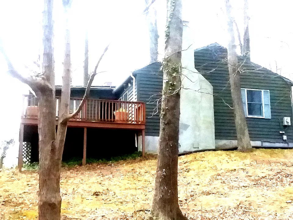 Fern Cir