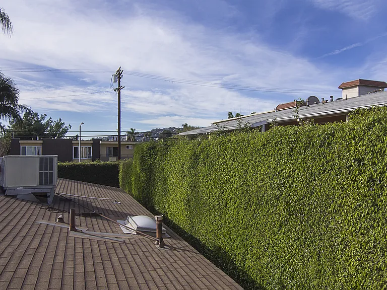 Fountain Ave — Photo 14