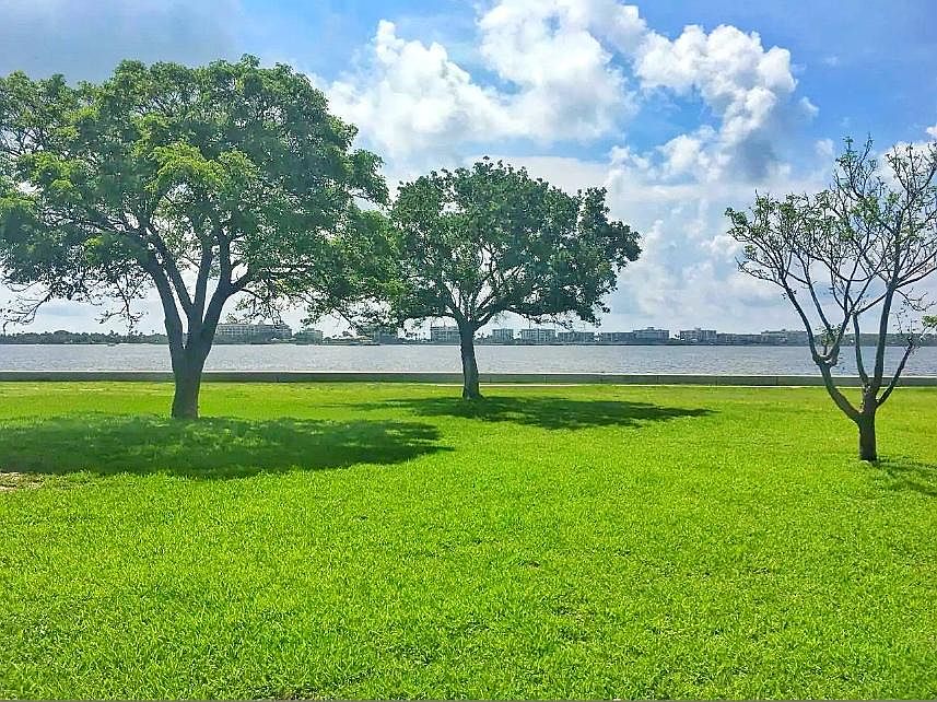 view from backyard