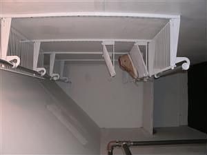 2nd image of 824 Windham Ave APT 3