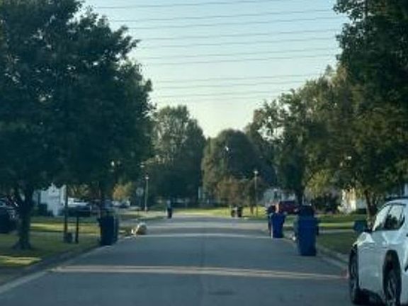 Exterior Neighborhood (street photo)