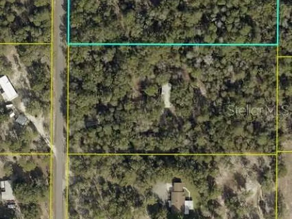 5-Acre CR 543A, SUMTERVILLE, FL 33585